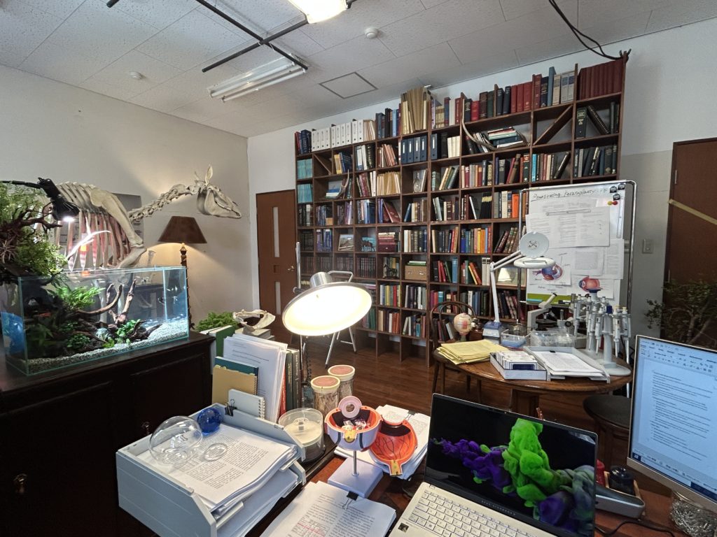 ロイヤルファミリー美術協力-1