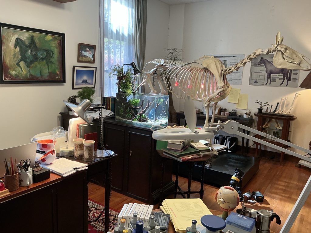 ロイヤルファミリー美術協力-2